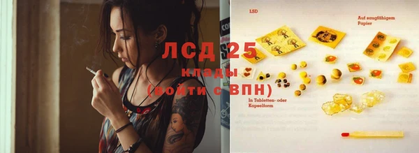 прущие грибы Беломорск