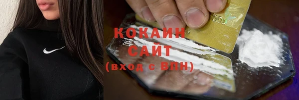 прущие грибы Беломорск