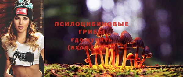 хмурый Балабаново