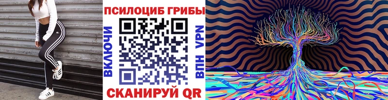 Псилоцибиновые грибы Psilocybine cubensis это формула Улан-Удэ OMG зеркало
