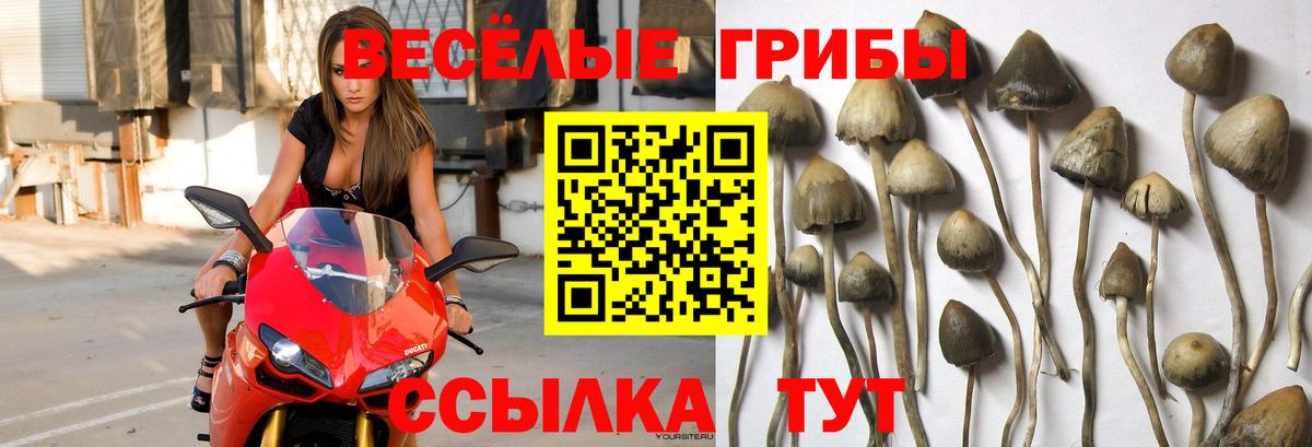 Гашиш  Улан-Удэ  Конопля  Мефедрон   Вход с VPN  Меф МЯУ МЯУ 